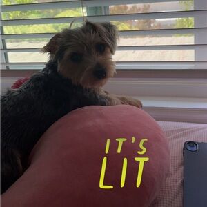 Meet your Posher, Vivienne